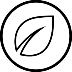 eve icon - Energy Efficiency black circle